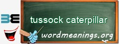 WordMeaning blackboard for tussock caterpillar